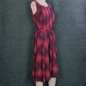 For Kitty Rescue! PerSeption Concept Polka Dot Dress